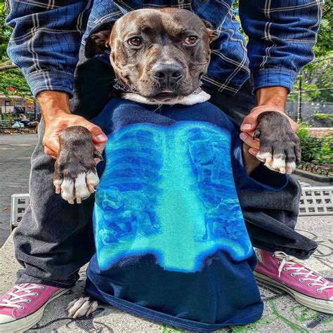 Fuck This Industry News DOMICILE TOKYO