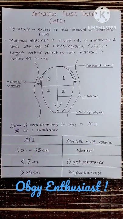 Amniotic Fluid Index Afi Youtube