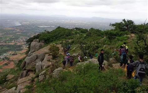 Nandi Hills Trekking | Trekking In Nandi Hills | BanBanjara