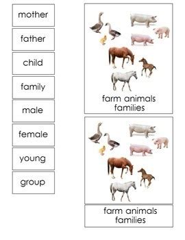 Farm animal families Montessori 3-part cards by I Believe in Montessori