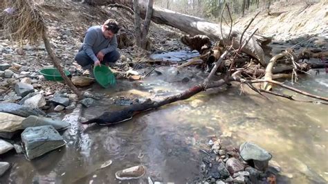 Gold Panning Arizona Runoff At Lynx Creek Prescott Arizona Gold Panning And Prospecting