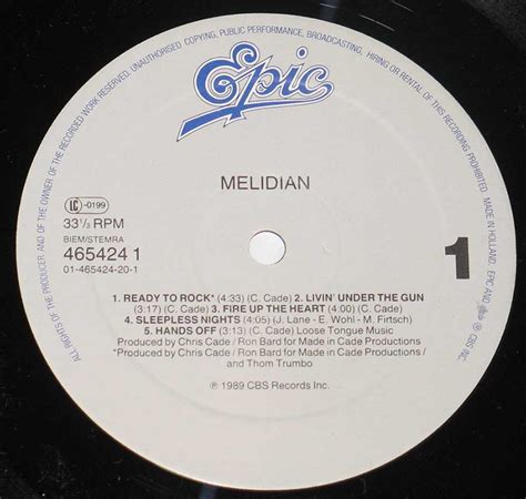 Melidian Lost In The Wild Melodic Hard Rock 80s Album Cover Gallery