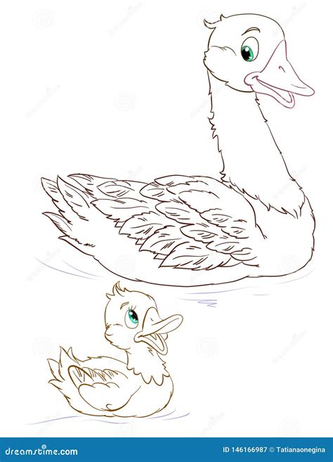 Goose And Gosling Coloring Page Stock Illustration Illustration Of