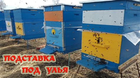 Подставка под улья | Надёжный выбор | Обзор подставок. - YouTube