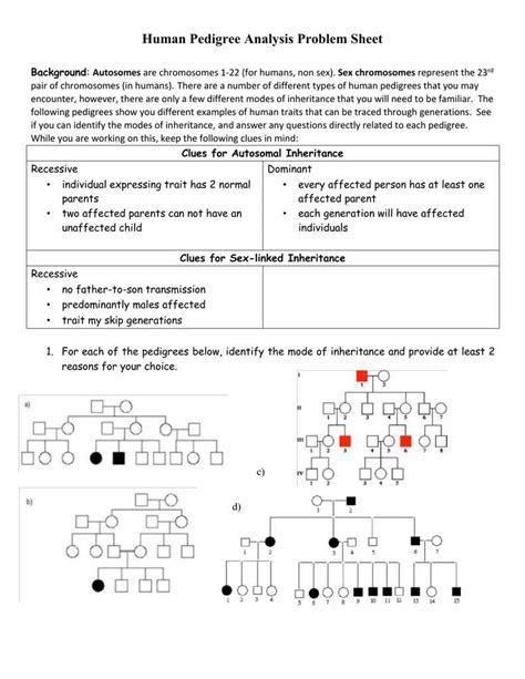 A Comprehensive Guide To Understanding Genetics Pedigree Worksheets