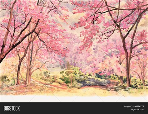 Painting Watercolor Image & Photo (Free Trial) | Bigstock