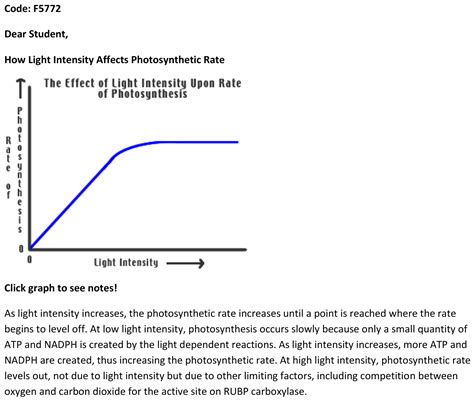 How The Light Intensity Affects The Rate Of Photosynthesis