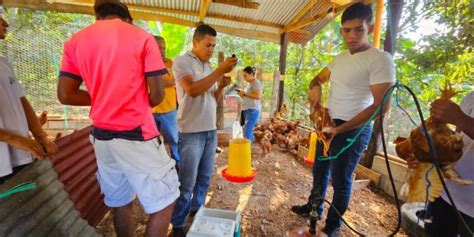 Maga Impulsa La Sanidad Av Cola En Pet N Agencia Guatemalteca De Noticias