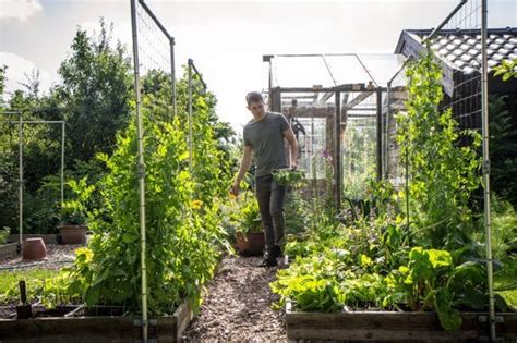 Een Makkelijke Moestuinbak Makkelijke Moestuin