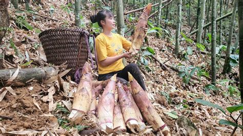 Full Video Days Of Harvesting Bamboo Shoots And Grinding Tubers To