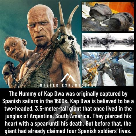 Kap Dwa The Mysterious Mummy Of A Two Headed Giant Ancient Humans