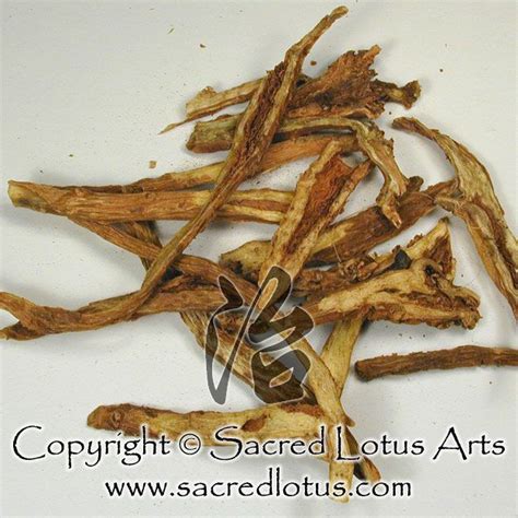 The Chinese Herb Huang Qin Baical Skullcap Root Is Bitter Cold