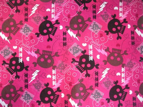 🔥 Download Pink Punk Wallpaper By Christinajones Punk Skull