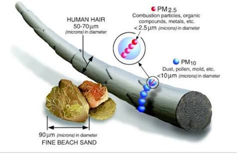 What Is Particulate Matter 10 PM 10 In Air Theconstructor Org