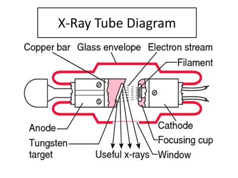 Components Of X Ray Tube Ppt