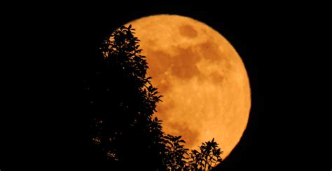 A gorgeous (and massive) hunter's moon will light up the skies of ...