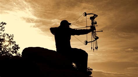 10 Essential Bowhunting Tips for Beginners - Offtgrid.com