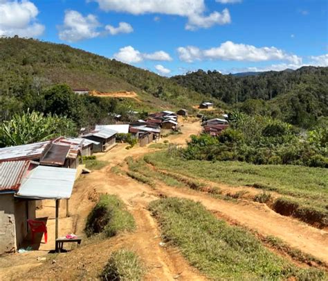SAKONDRY FARMING - WILDLIFE MADAGASCAR