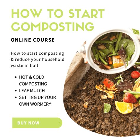 How To Start Composting And Reduce Your Household Waste In Half