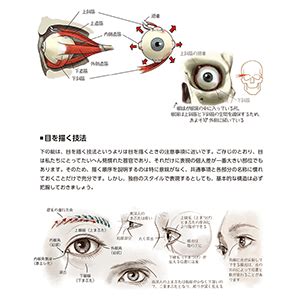ソッカの美術解剖学ノート | ソク・ジョンヒョン, チャン・ジニ |本 | 通販 | Amazon