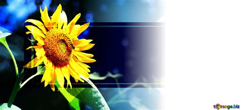 Sunflower Powerpoint Template