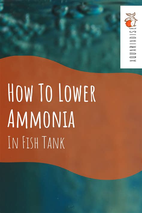 How To Lower Ammonia In A Fish Tank Pro Advice