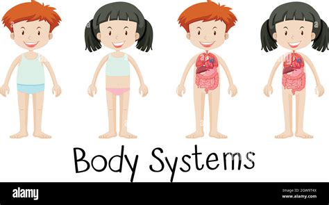 Human Body Systems For Kids