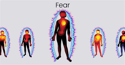 How the brain reacts when we feel fear & prepares for fight or flight
