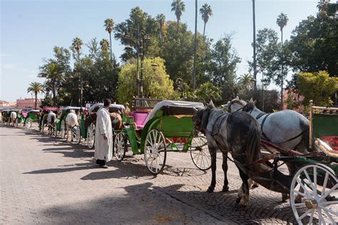 The ULTIMATE Marrakech Solo Travel Guide Things To Do