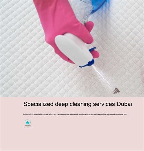 Specialized Deep Cleaning Services Dubai