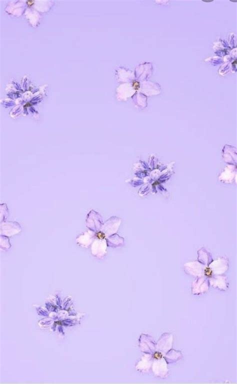 40 Pastel Light Purple Wallpapers WallpaperSafari