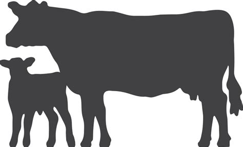 Black Angus Bull Silhouette At Getdrawings Free Download