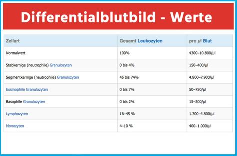 Was Ist Ein Blutbild Erkl Rung Alle Werte Und Bedeutungen