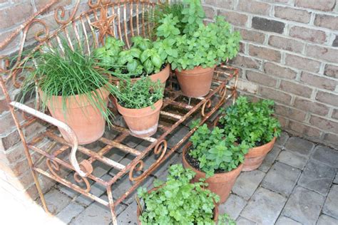 Growing a Herb Garden Outdoors - Best Garden Ideas