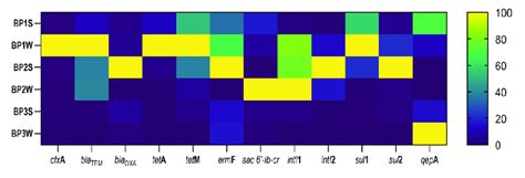 Normalized Heatmap Presenting The Absolute Abundance Aa Of Download Scientific Diagram