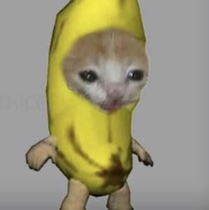 Banana Cat Songs Playlist By Denise Rosaroso Tapia Spotify