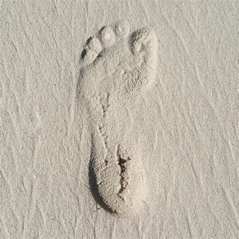 Footprint In Sand Free Stock Photo Public Domain Pictures