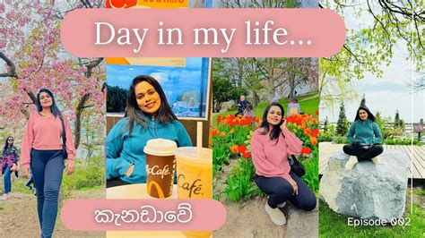 කැනඩාවේ Park එකක පොඩි Walk එකක් යමුද මාත් එක්ක Day In My Life