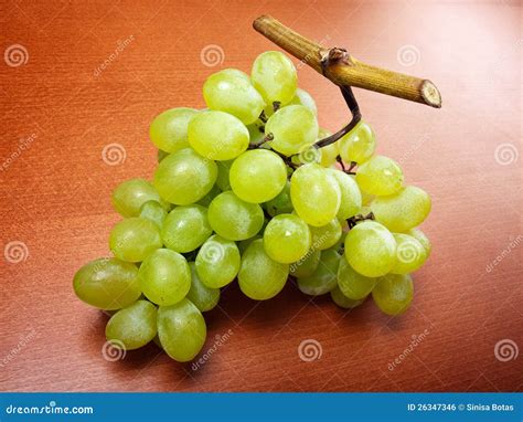 Grapes cluster stock photo. Image of foliage, dessert - 26347346