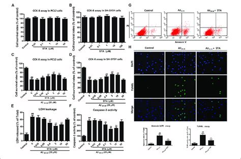 Santacruzamate A Sta Attenuated Amyloid β Protein Fragment 25 35