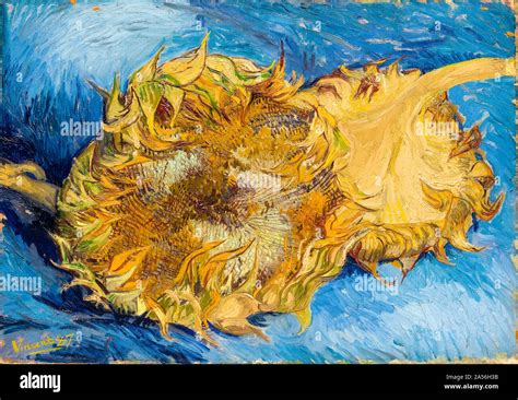 Gogh Sunflowers Hi Res Stock Photography And Images Alamy