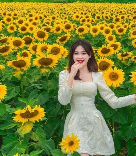 Nhan sắc nữ MC hot girl tại Nghệ An đang gây bão khắp mạng xã hội