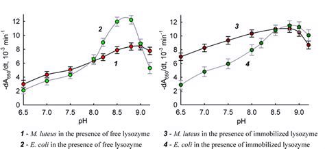 The dependence of bacteria lysis rate in the presence of lysozyme on... | Download Scientific ...