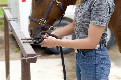 How To Tie A Quick Release Knot My New Horse