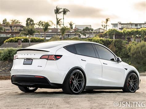 Model Y New Tail Lights