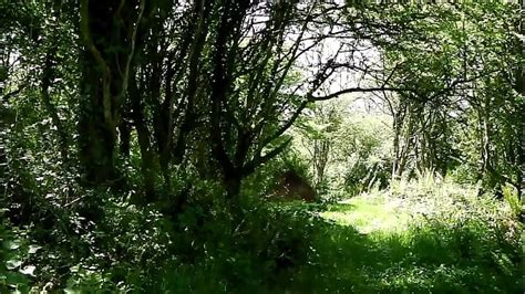 Public Exposure Search XVIDEOS