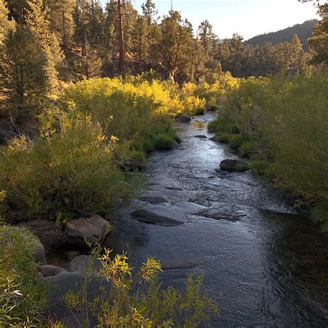 Pct Day 95 Death Canyon Creek To South Fork Kern River 25 Miles