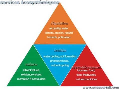 Service écosystémique Définition Et Explications