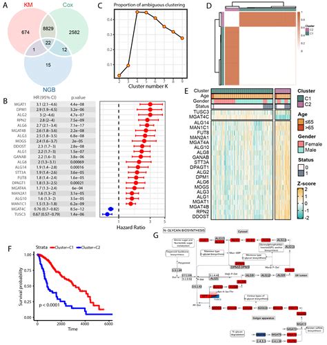 Machine Learning Based Integration Of Omics And Clinical Data Reveals