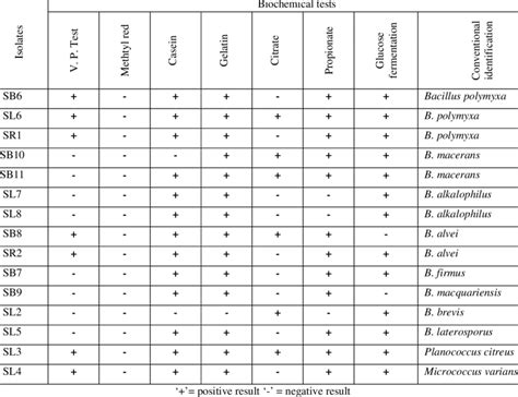 Biochemical Tests To Identify Bacteria Hot Sex Picture